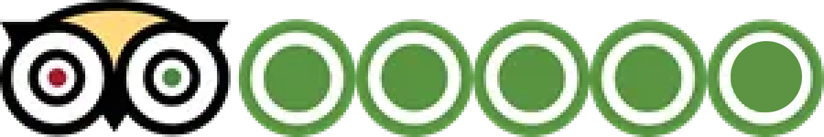 Trip Advisor Logo