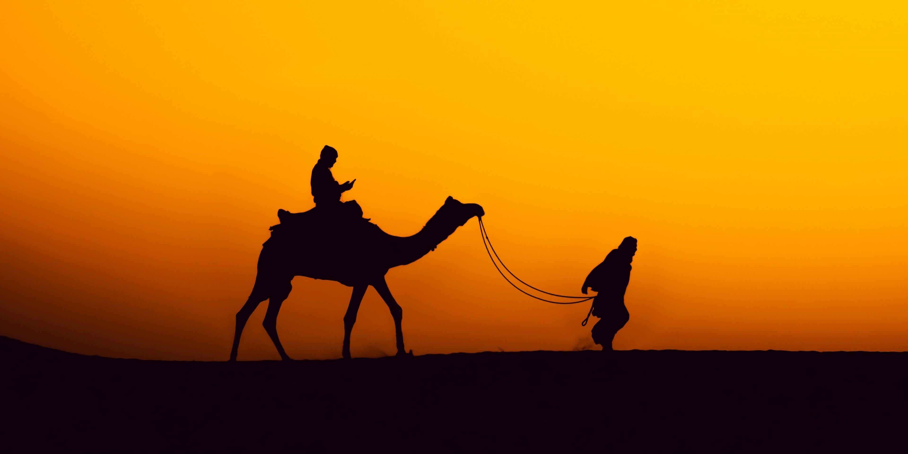 Camal Safari in Jaisalmer