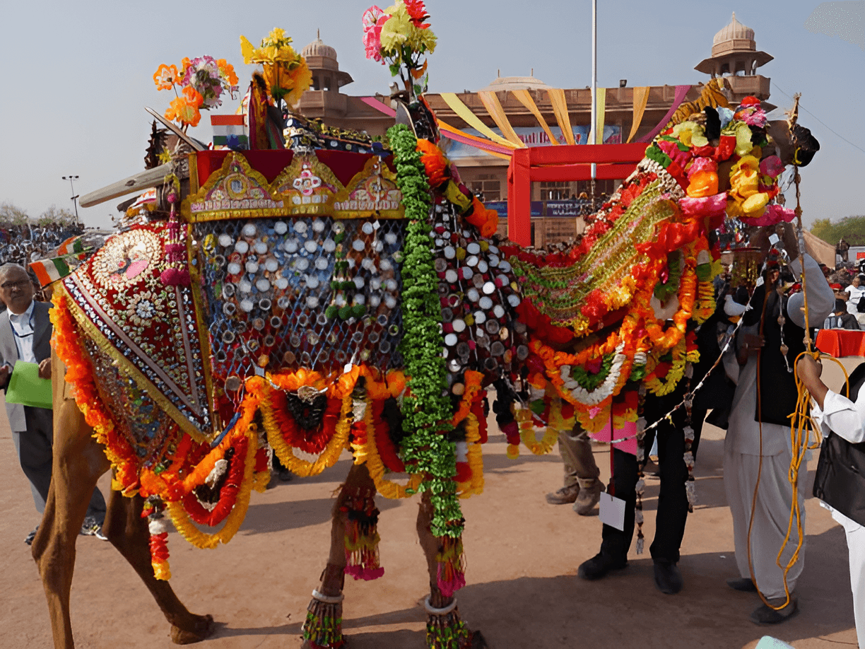 International Camel Festival Bikaner 2025: Dates & Events Guide