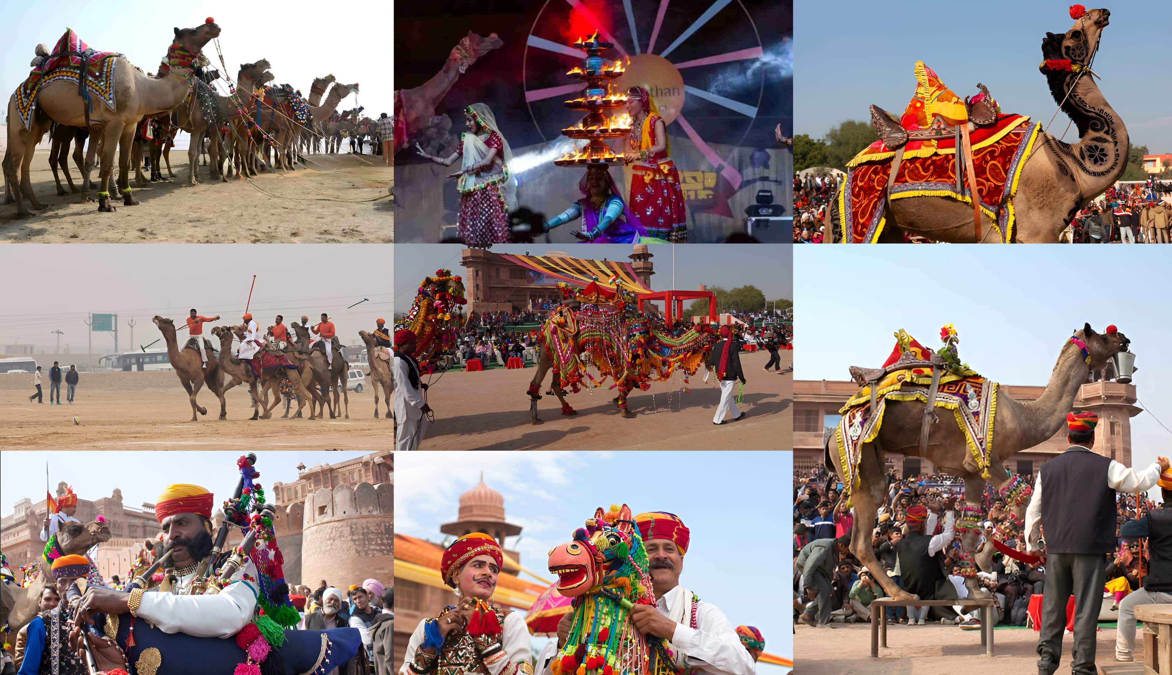 Key Events at Camel Festival