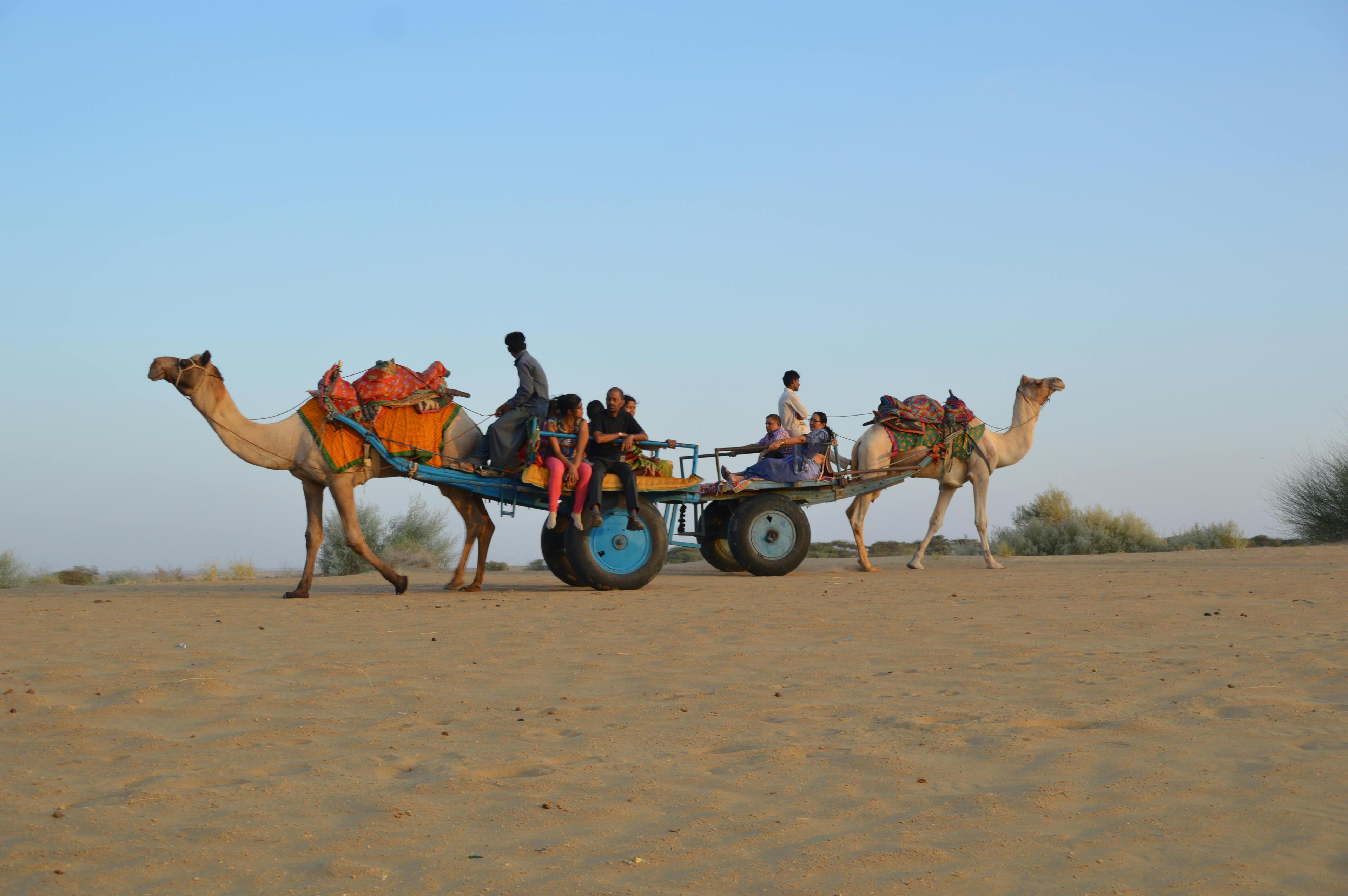 Rajasthan Desert Culture