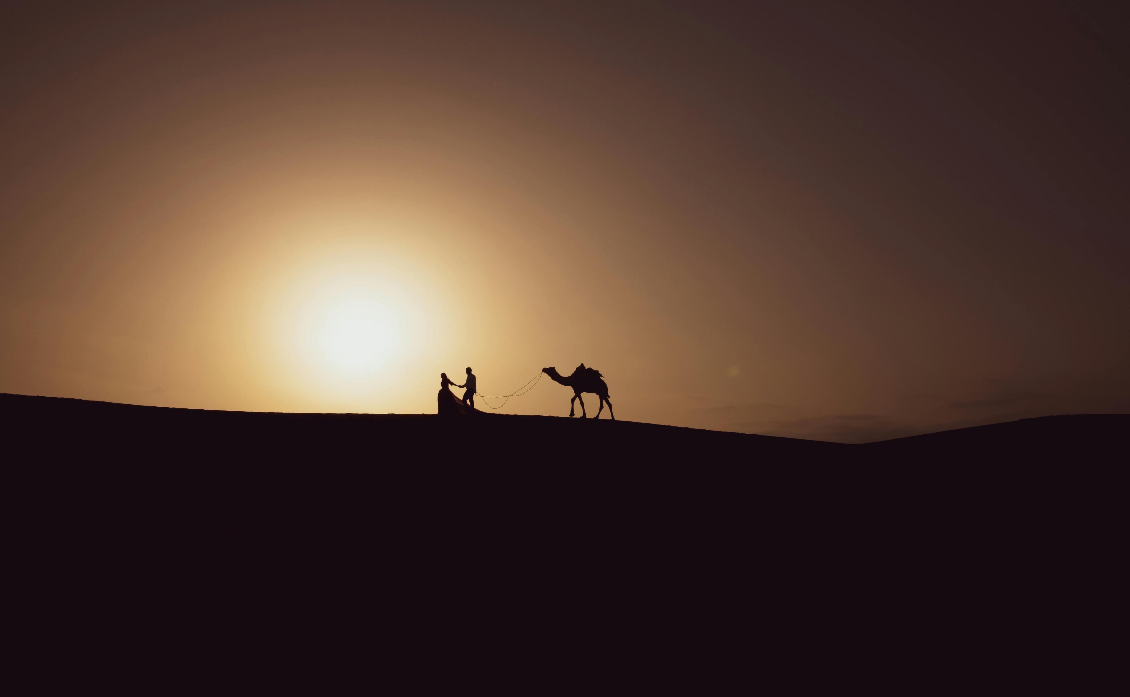 Camel rides and desert safaris