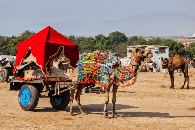 Pushkar Camel Fair: Cultural Tourism as a Product of Rajasthan