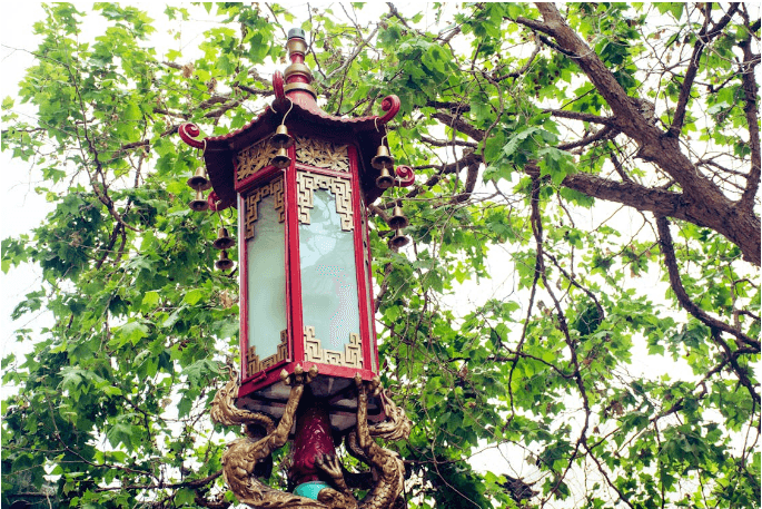 Chinese Dragon Parade Daylight