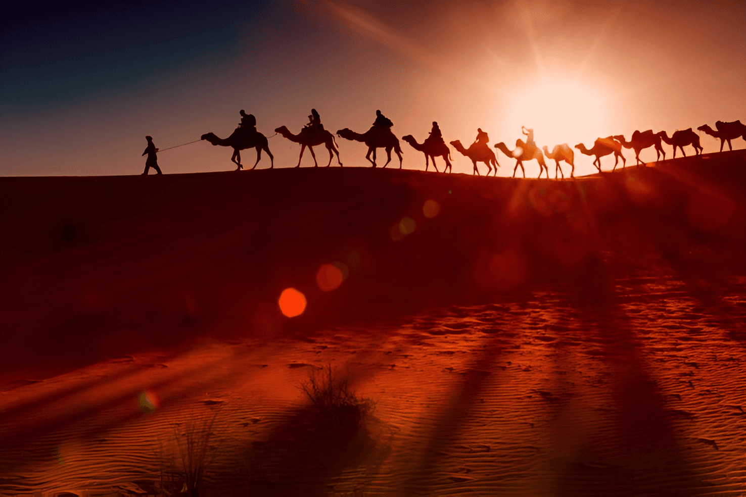 Camel Safari in Jaisalmer Desert