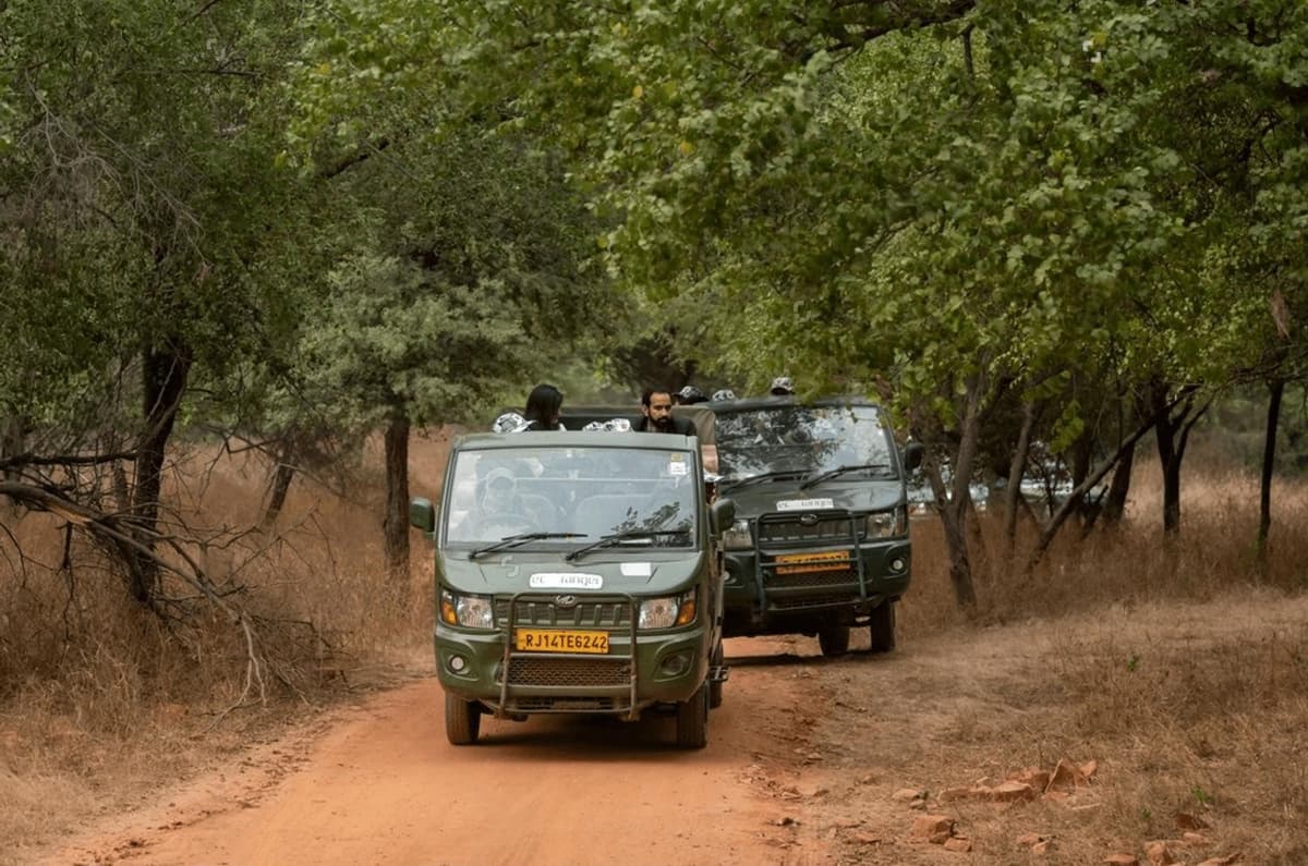 Jeep safari in Jhalana wildlife sanctuary