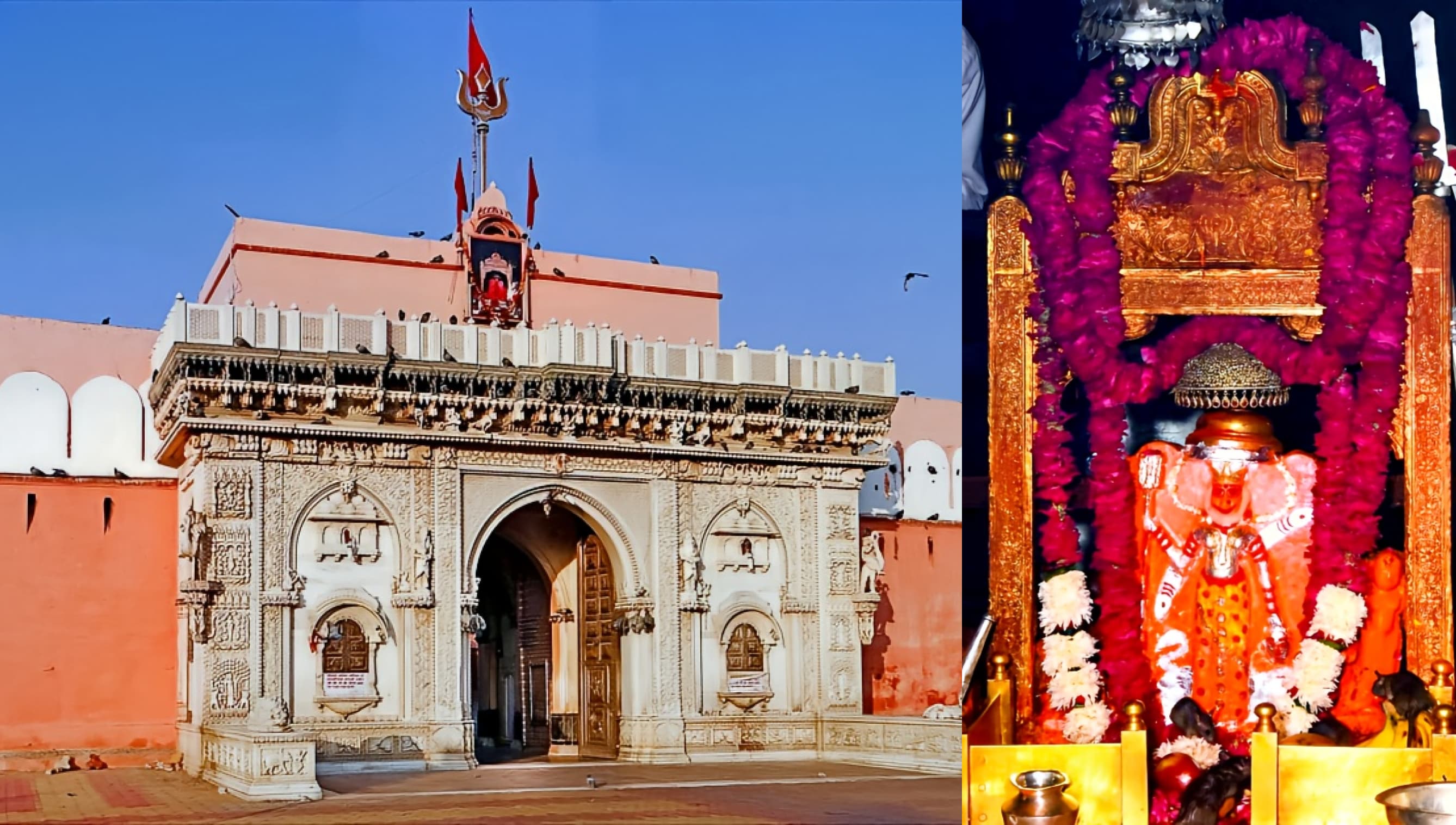 Karni Mata Temple Deshnok Rajasthan