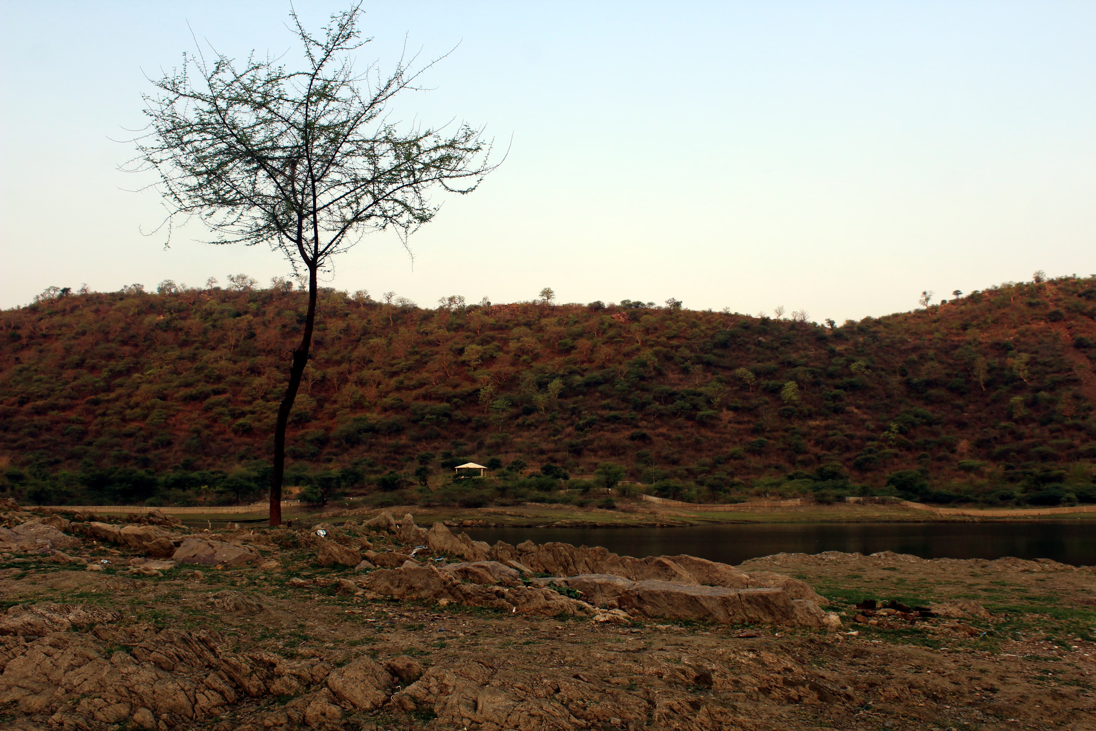 Sajjangarh Wildlife Sanctuary