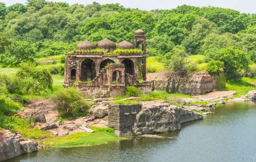 Romantic couple safari in Ranthambore National Park