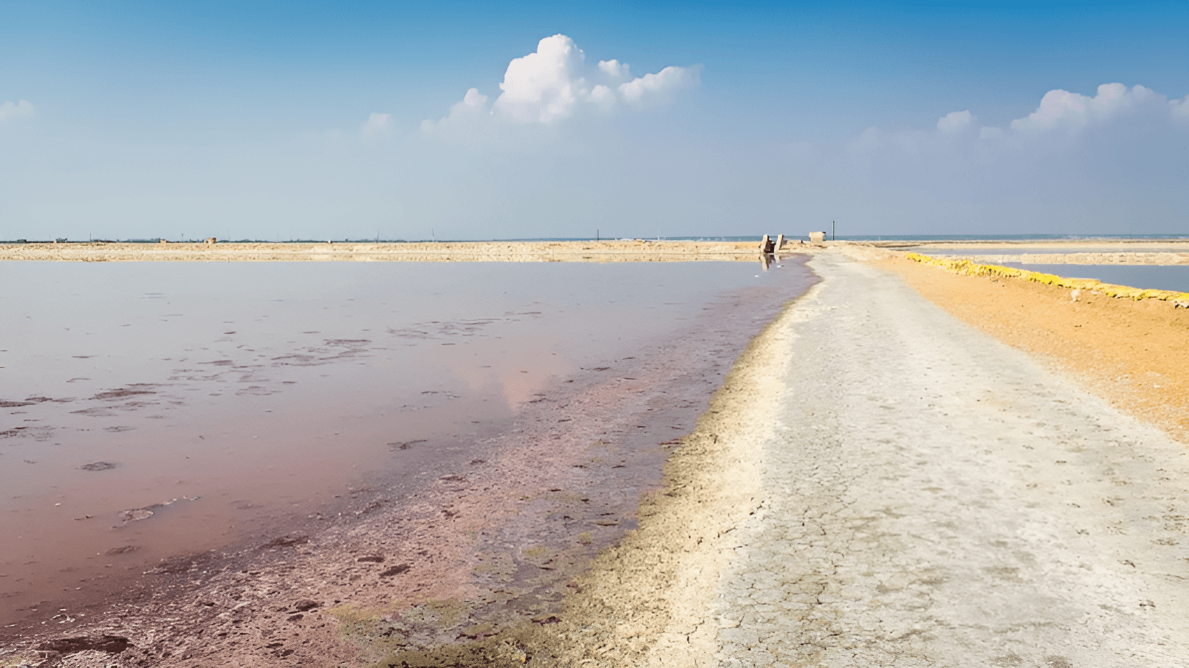 Sambhar Lake Scene