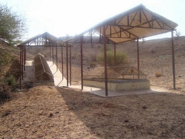 Fossil Park Near Akal Village