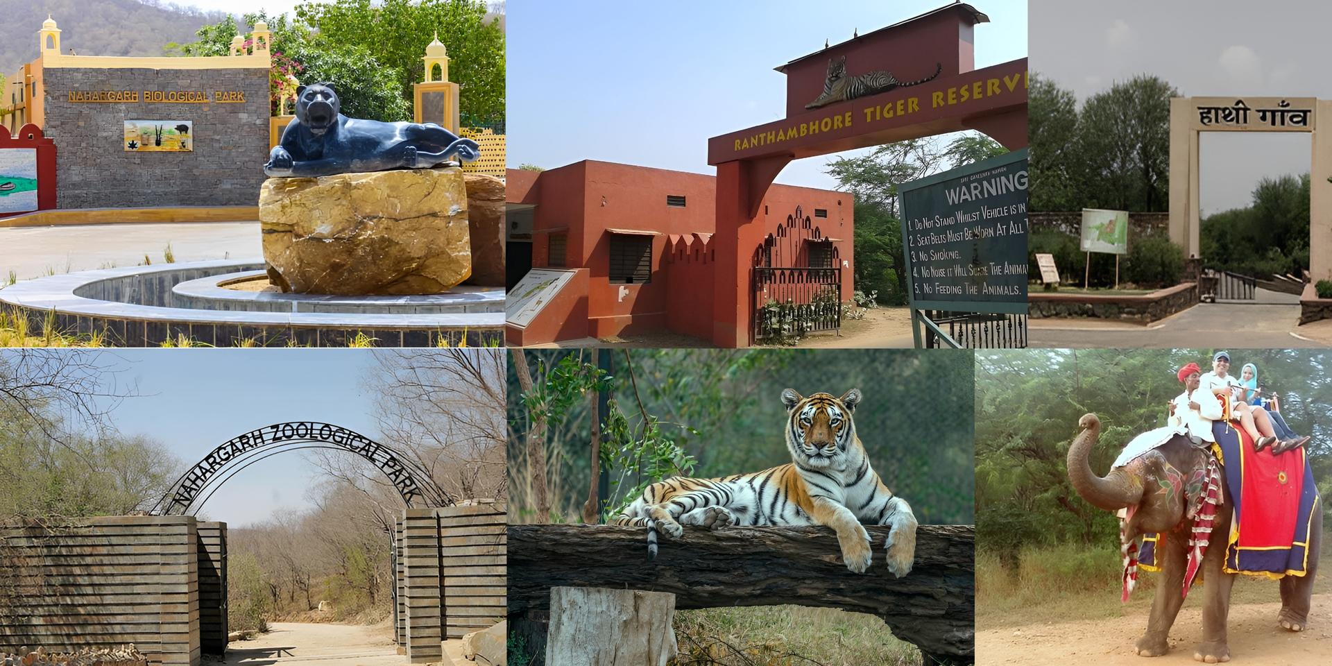 Best Wildlife Park Jaipur View