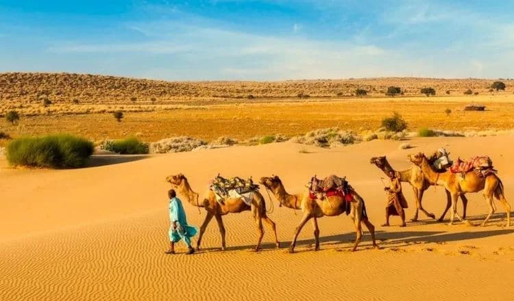 Luxury Jaisalmer Tour Package for a Royal Desert Experience Luxury Jaisalmer Tour Package