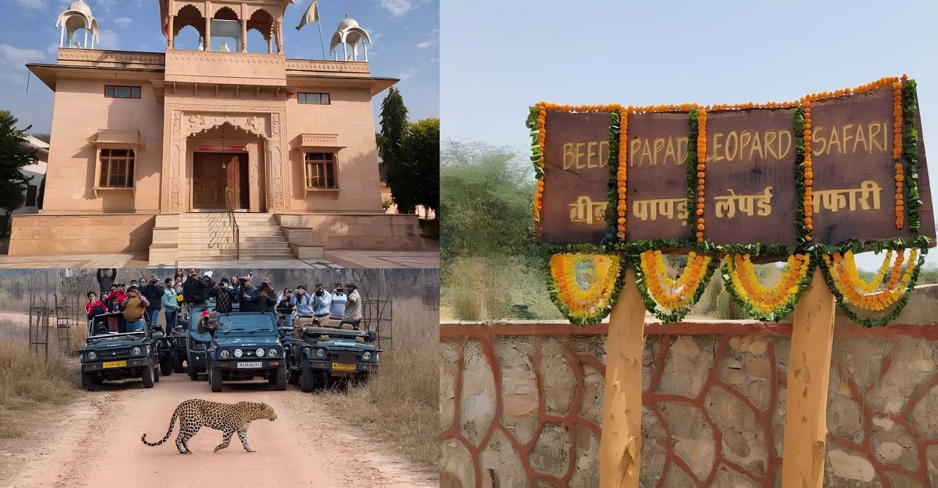 Beed Papad Leopard Safari Entry in Jaipur Beed Papad Safari Entrance