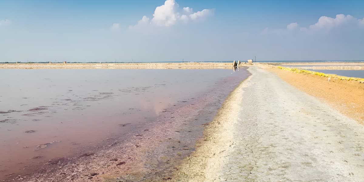 Colorful view of Sambhar Lake Festival with scenic beauty Sambhar Lake Scene